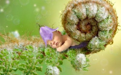 Renascimento: despertar da consciência