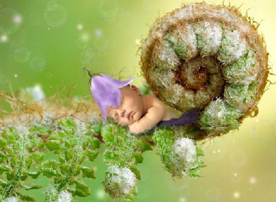 Renascimento: despertar da consciência